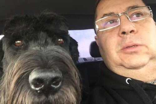 Nouvelles Règles d'Entrée des Chiens aux États-Unis à partir du 1er août 2024